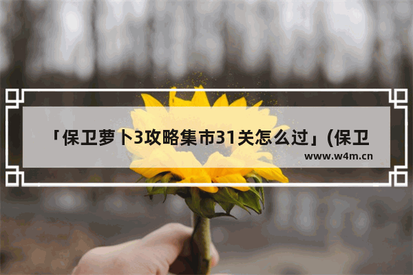 「保卫萝卜3攻略集市31关怎么过」(保卫萝卜3攻略集市31关怎么过关)