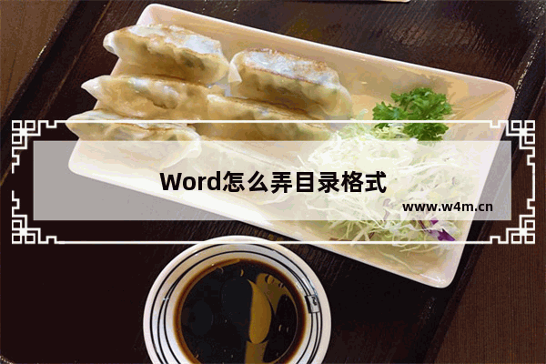 Word怎么弄目录格式