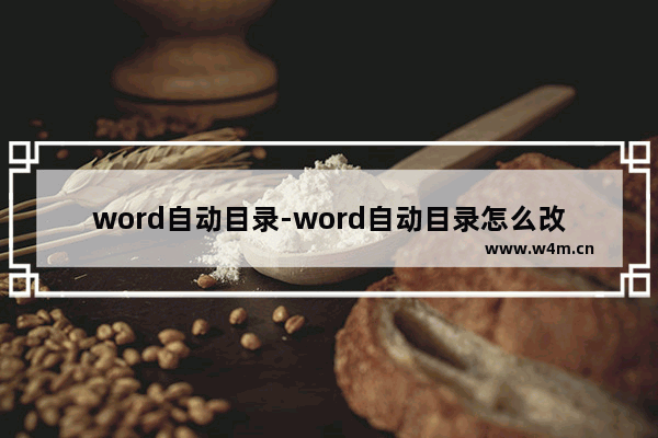 word自动目录-word自动目录怎么改格式