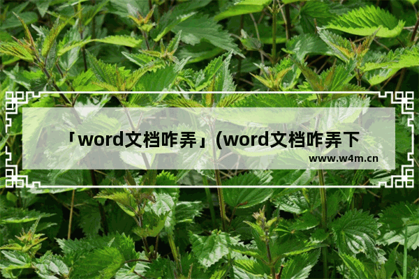 「word文档咋弄」(word文档咋弄下划线)