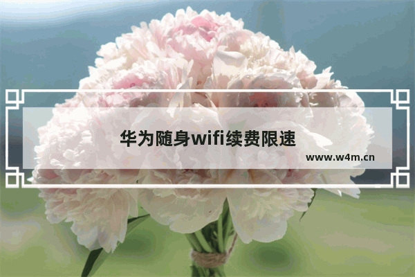 华为随身wifi续费限速