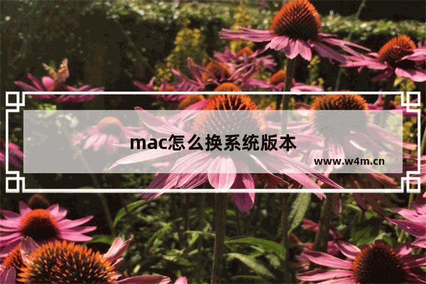 mac怎么换系统版本