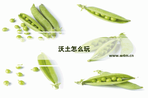 沃土怎么玩