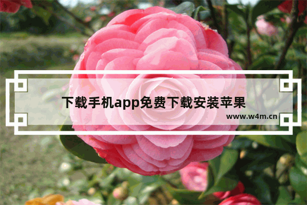 下载手机app免费下载安装苹果