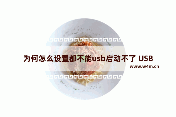 为何怎么设置都不能usb启动不了 USB启动无效可能的原因