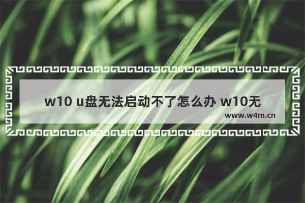 w10 u盘无法启动不了怎么办 w10无法通过U盘启动怎么办