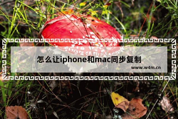 怎么让iphone和mac同步复制