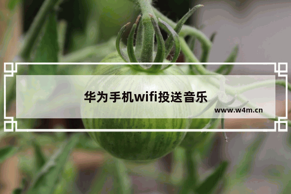 华为手机wifi投送音乐