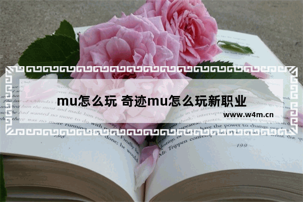 mu怎么玩 奇迹mu怎么玩新职业