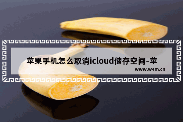 苹果手机怎么取消icloud储存空间-苹果手机怎么取消icloud储存空间自动续费