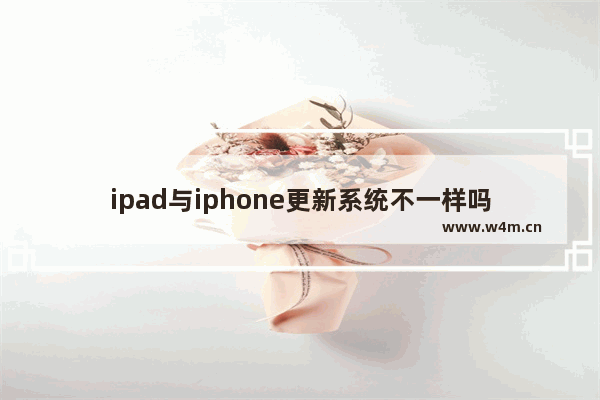 ipad与iphone更新系统不一样吗