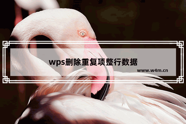 wps删除重复项整行数据