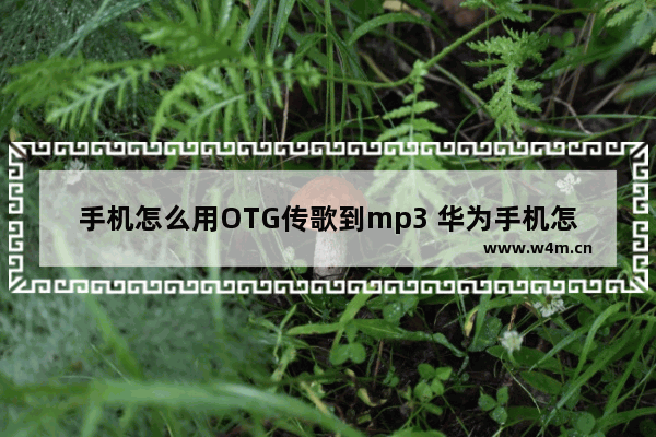 手机怎么用OTG传歌到mp3 华为手机怎么用OTG传歌到mp3