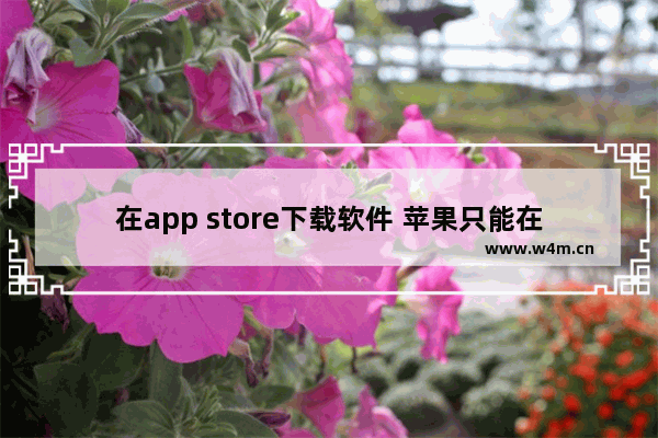 在app store下载软件 苹果只能在app store下载软件吗