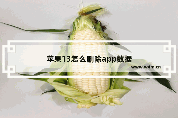 苹果13怎么删除app数据