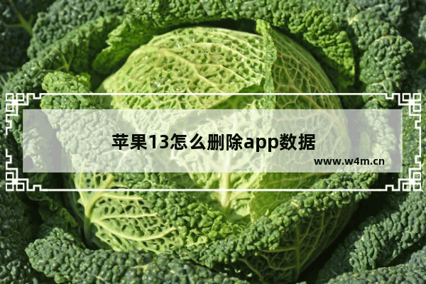 苹果13怎么删除app数据