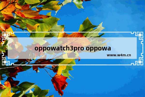 oppowatch3pro oppowatch3pro安装第三方apk教程