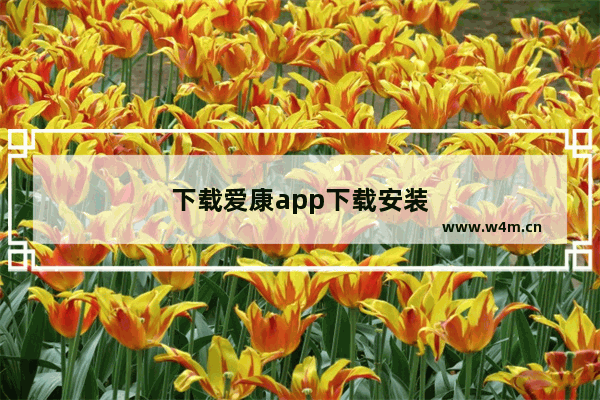 下载爱康app下载安装