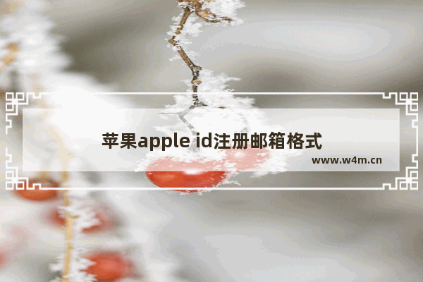 苹果apple id注册邮箱格式