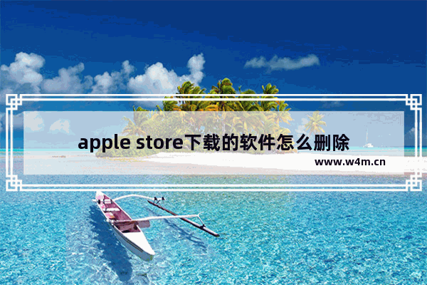 apple store下载的软件怎么删除记录