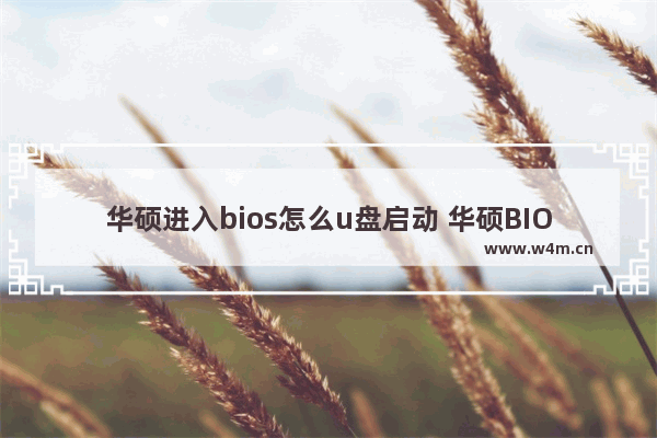 华硕进入bios怎么u盘启动 华硕BIOS如何从U盘启动