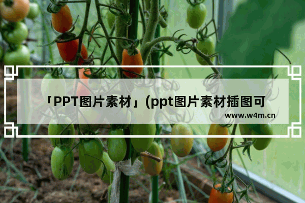 「PPT图片素材」(ppt图片素材插图可爱)