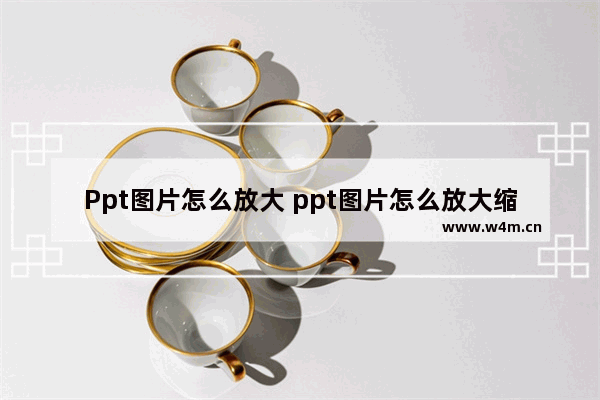 Ppt图片怎么放大 ppt图片怎么放大缩小不变形