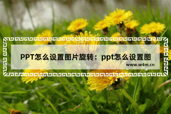 PPT怎么设置图片旋转：ppt怎么设置图片旋转方向