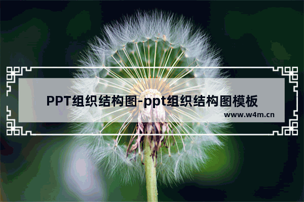 PPT组织结构图-ppt组织结构图模板