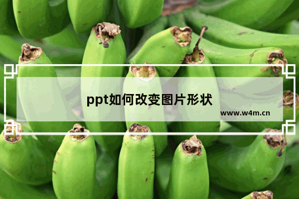 ppt如何改变图片形状