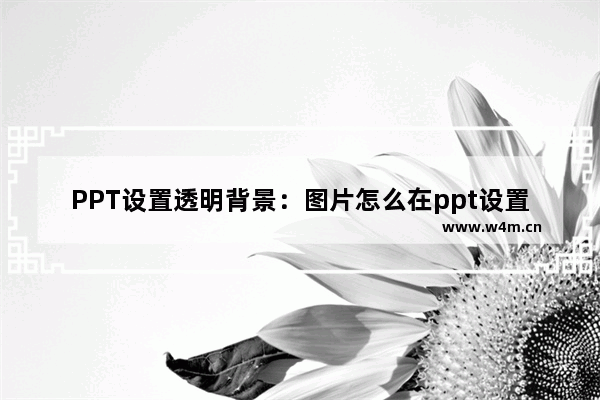 PPT设置透明背景：图片怎么在ppt设置透明背景