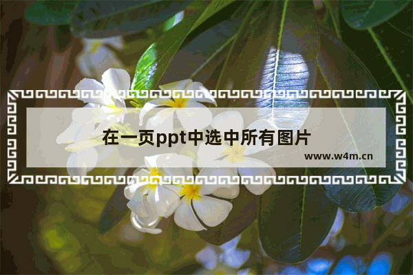 在一页ppt中选中所有图片