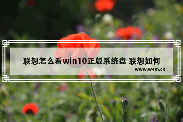 联想怎么看win10正版系统盘 联想如何查看Win10正版系统盘