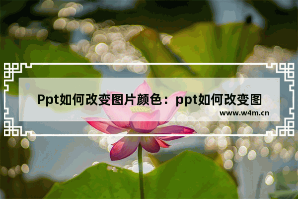 Ppt如何改变图片颜色：ppt如何改变图片颜色背景