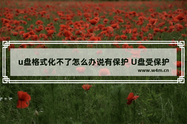 u盘格式化不了怎么办说有保护 U盘受保护无法格式化？教你解决