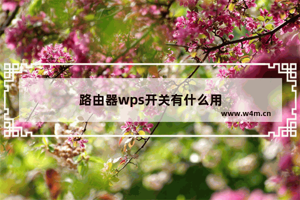 路由器wps开关有什么用