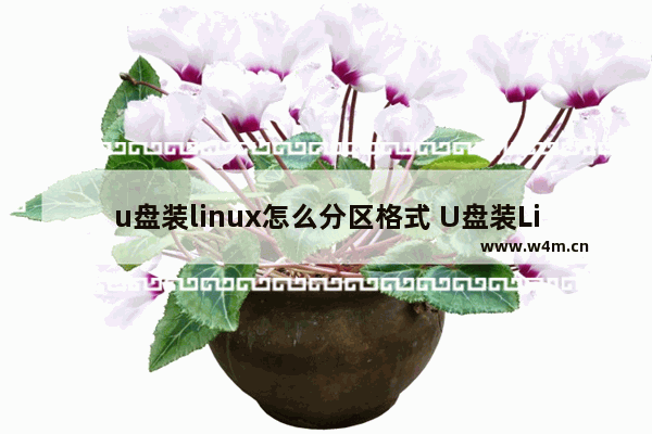 u盘装linux怎么分区格式 U盘装Linux如何分区格式化