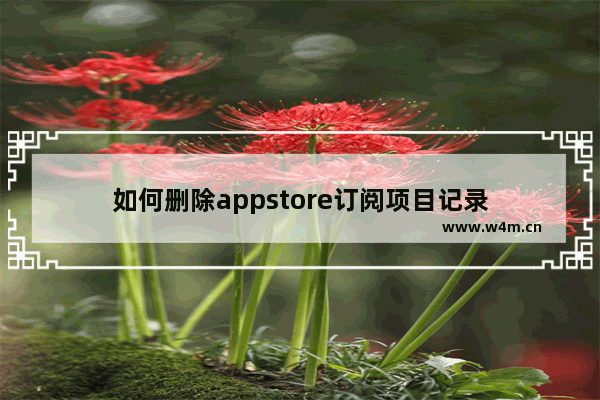 如何删除appstore订阅项目记录