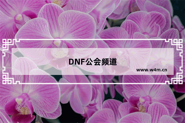 DNF公会频道