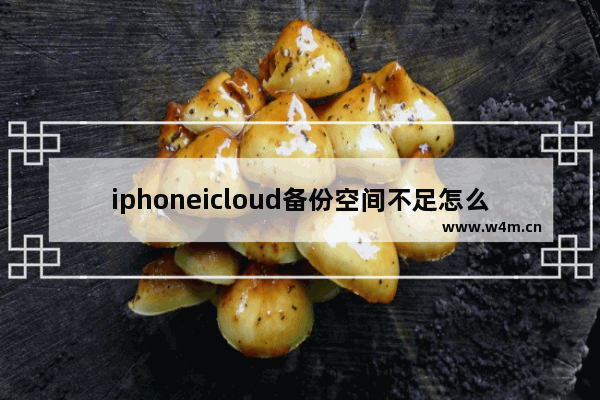 iphoneicloud备份空间不足怎么办