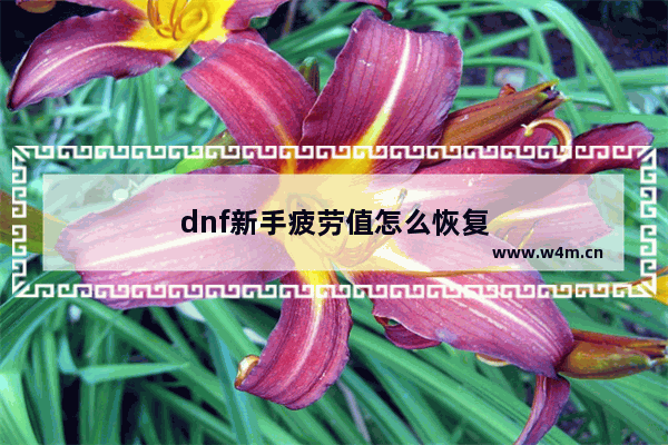 dnf新手疲劳值怎么恢复