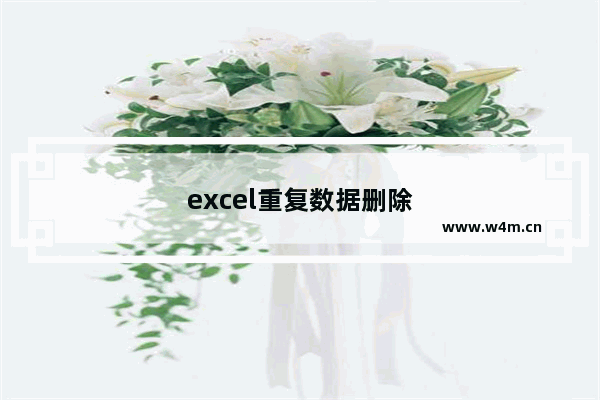 excel重复数据删除