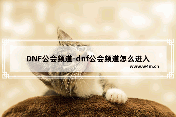 DNF公会频道-dnf公会频道怎么进入