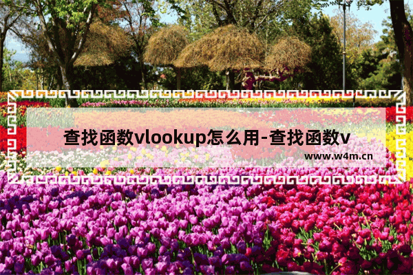 查找函数vlookup怎么用-查找函数vlookup怎么用查找数据为什么只有格式