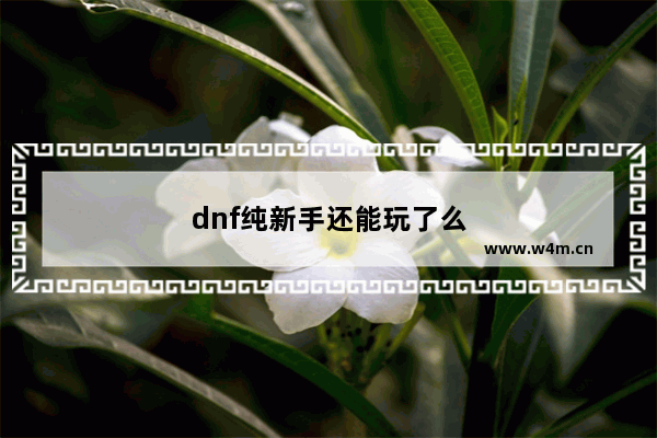 dnf纯新手还能玩了么