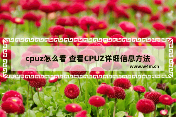 cpuz怎么看 查看CPUZ详细信息方法