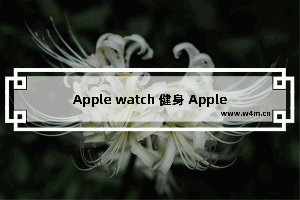 Apple watch 健身 Apple watch 健身记录