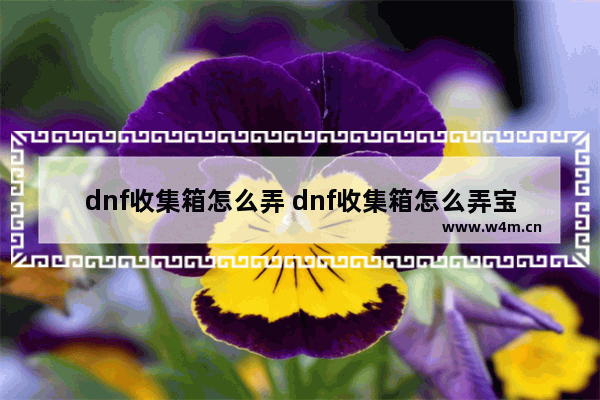 dnf收集箱怎么弄 dnf收集箱怎么弄宝珠