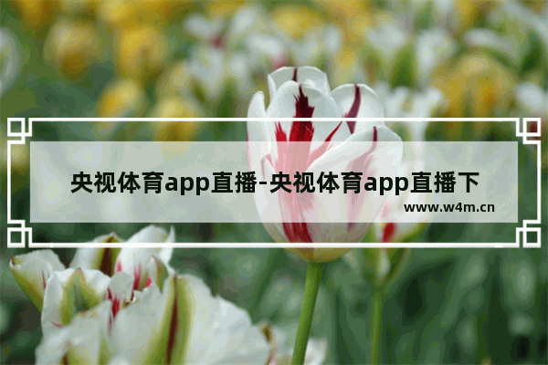 央视体育app直播-央视体育app直播下载安装到…花与罪