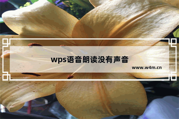 wps语音朗读没有声音